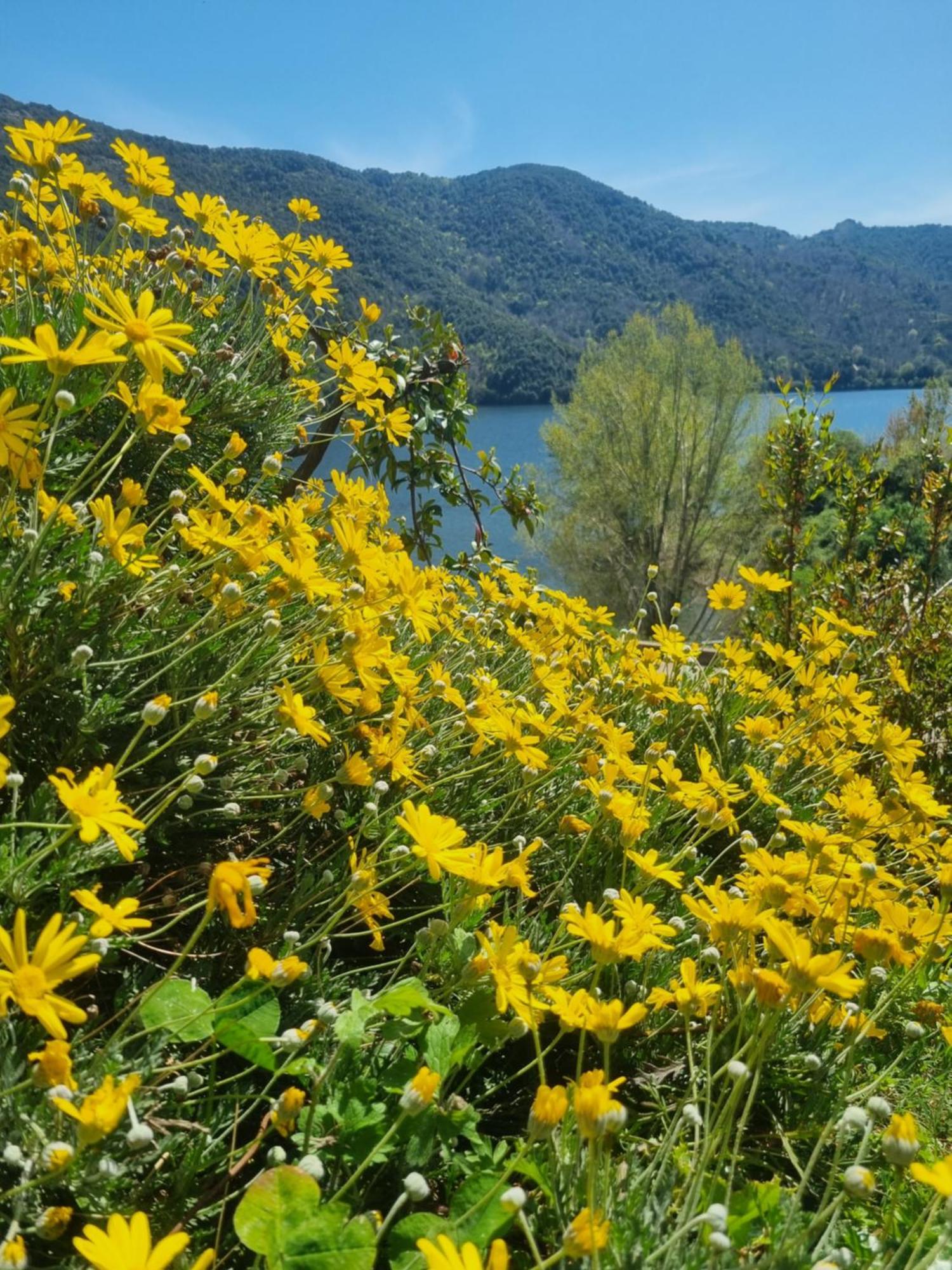 Cote Lac Tolla Luaran gambar
