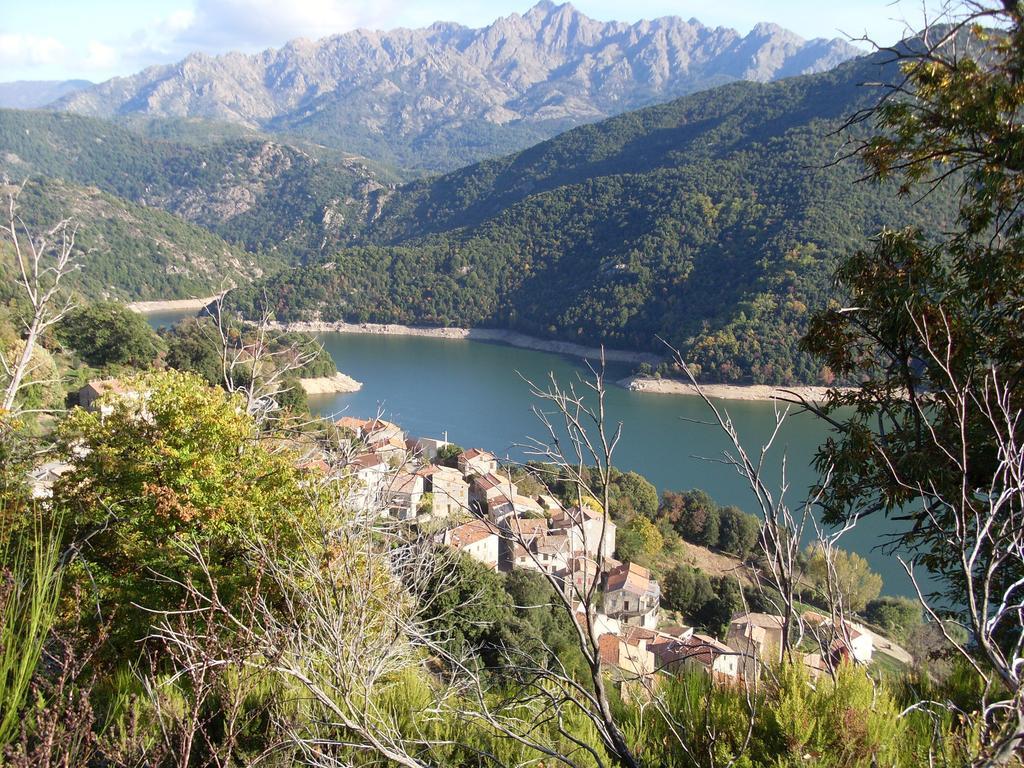 Cote Lac Tolla Bilik gambar